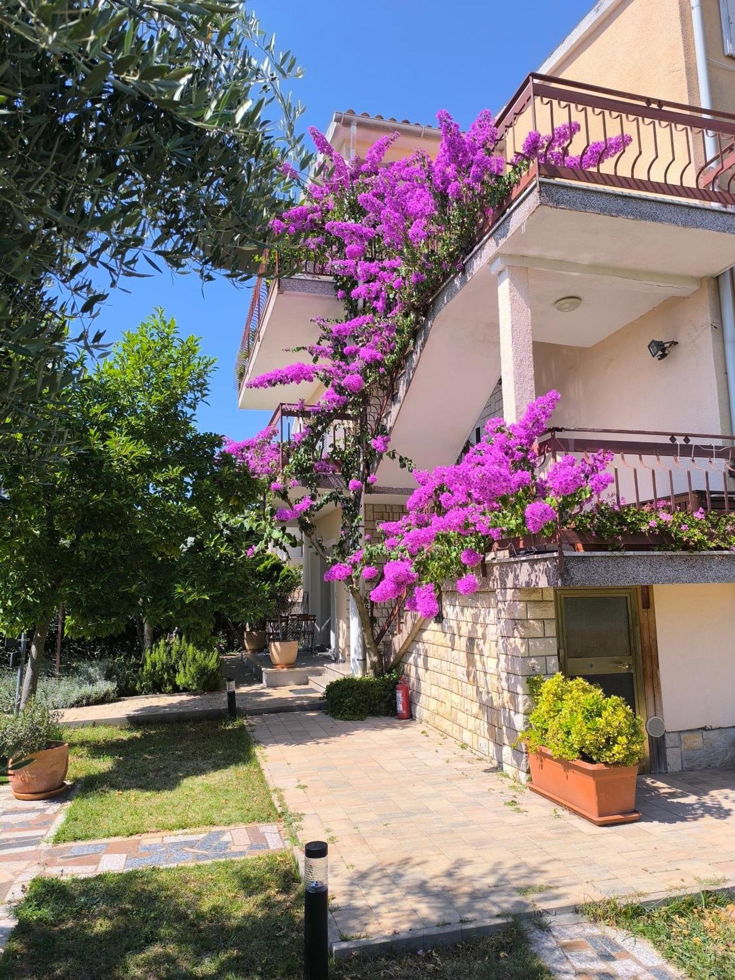 Apartments Lirio Umago Esterno foto